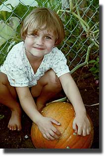 Alea Alea pumpkin dollea