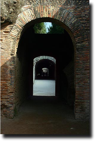 Palatine tunnels