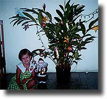 Alea, Santa, and the ginger tree