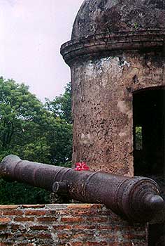 A cannon, a turret, and a flower