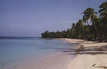 Roatan West End beach