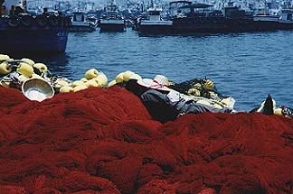 South Korea seashore snoozer