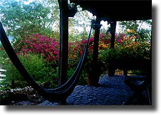 Scenic hammock shot